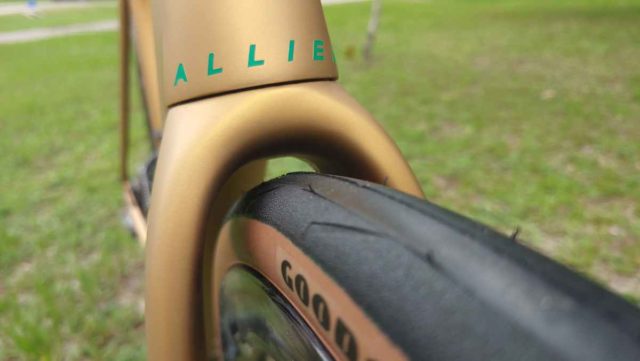 allied echo review