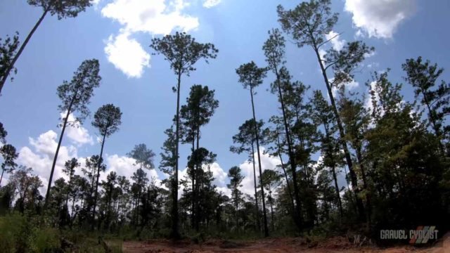 gravel cycling in western florida