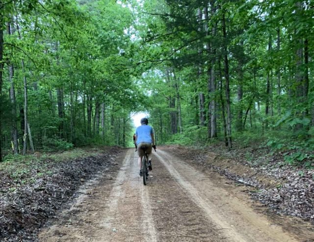gravel revival hickman county