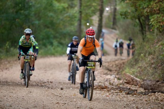 big sugar results 2021