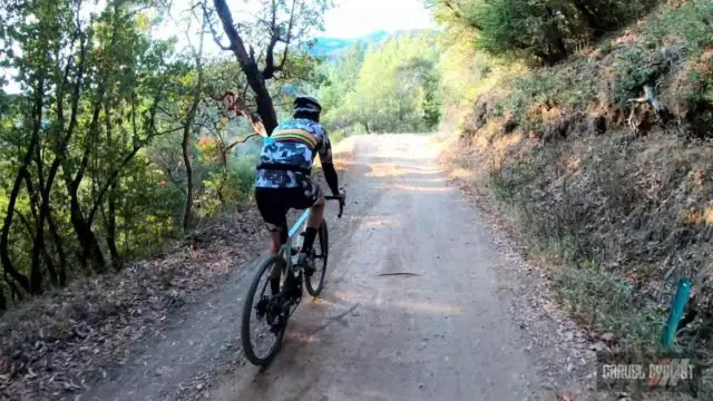 riding a gravel bike on mount tamalpais