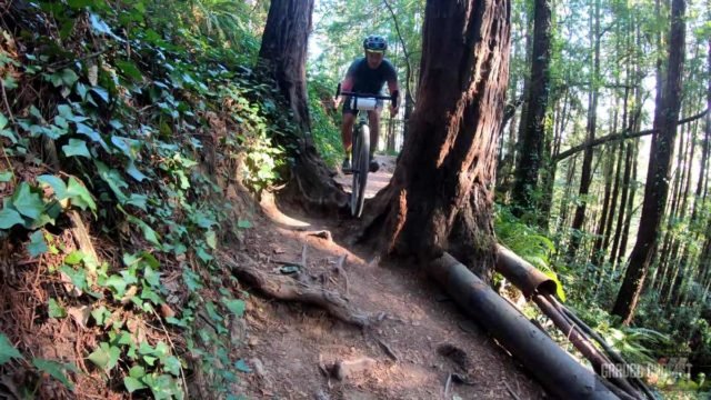 riding a gravel bike on mount tamalpais