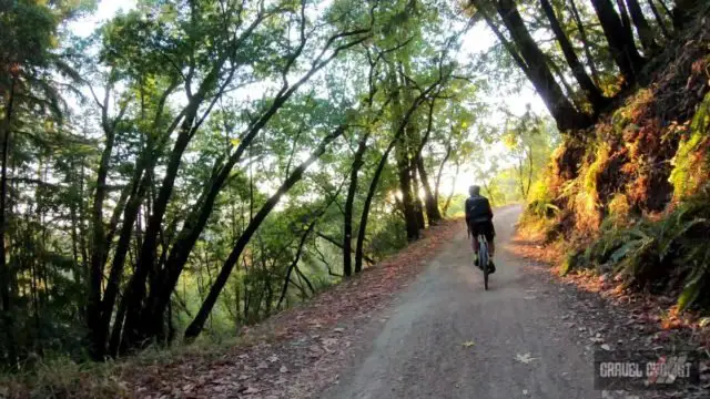cycling on mount tamalpais