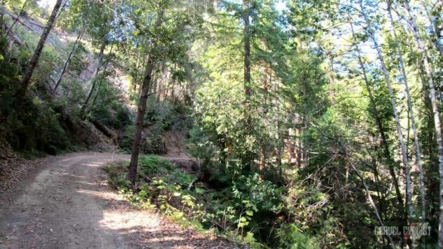 riding sonoma county on a gravel bike