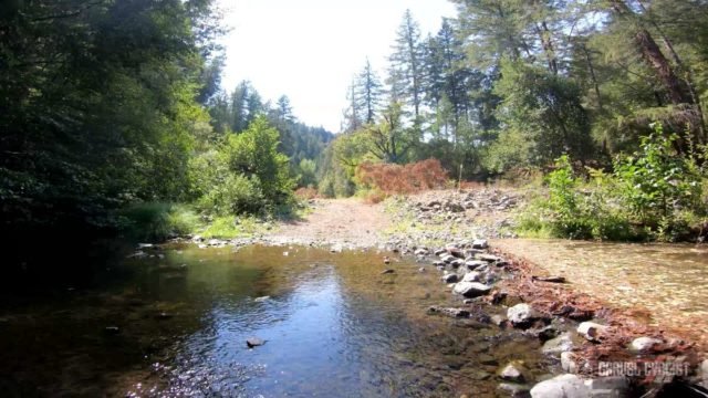riding sonoma county on a gravel bike