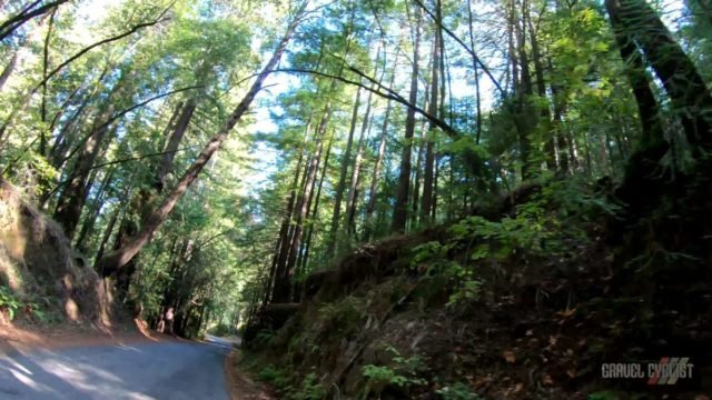 riding sonoma county on a gravel bike