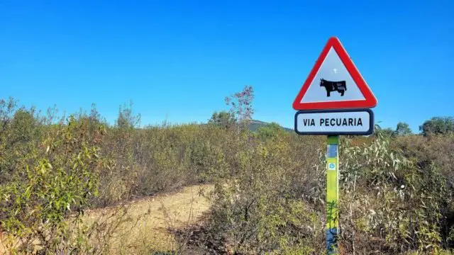 Via Ruta de la Plata gravel ride spain