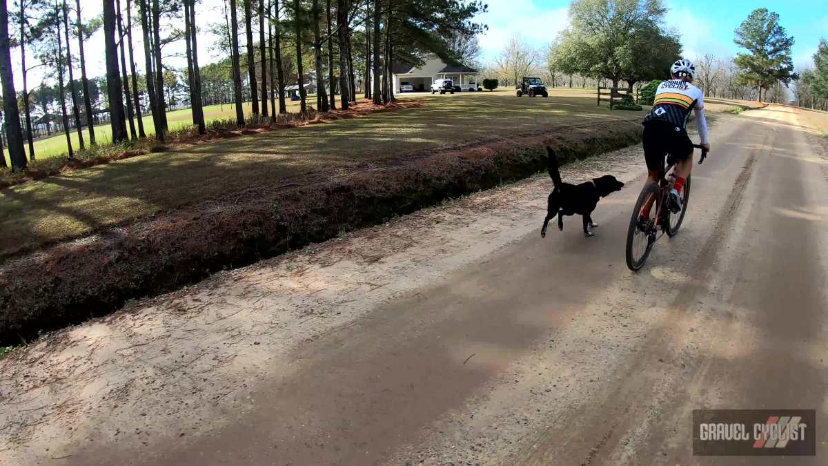 southern georgia gravel cycling