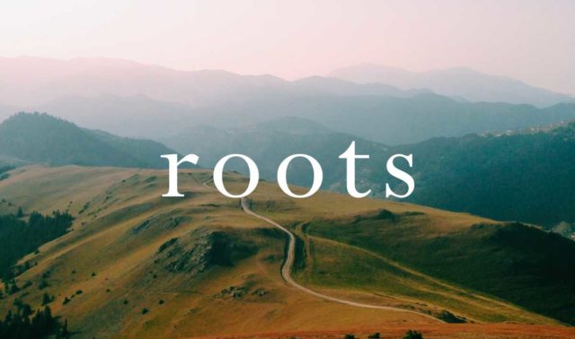brooks england roots project
