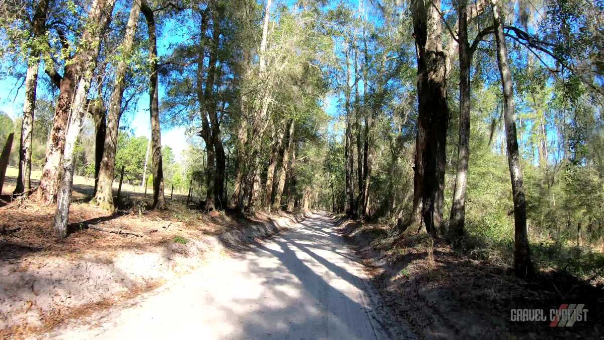riding a century for the first time