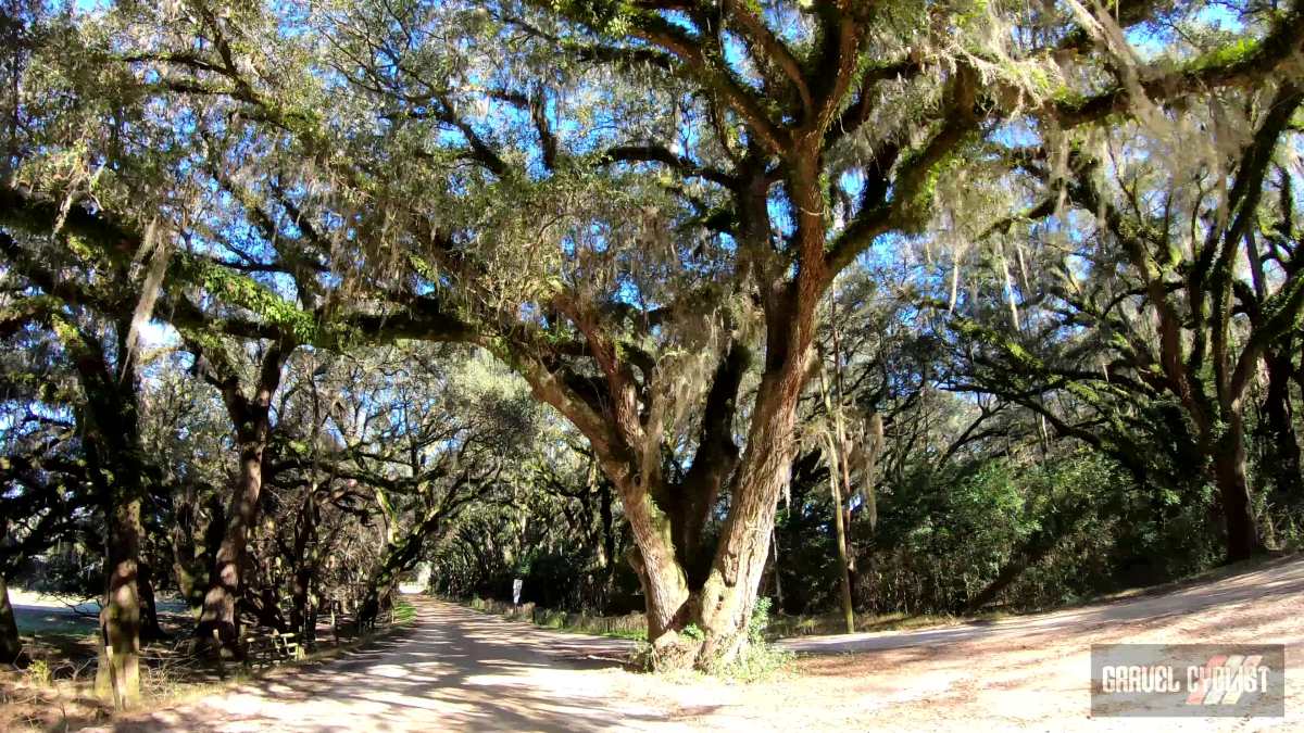 north florida gravel cycling