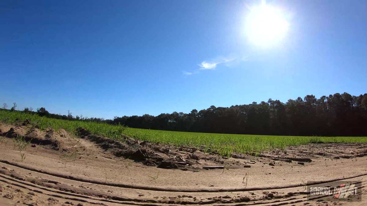 north florida gravel cycling