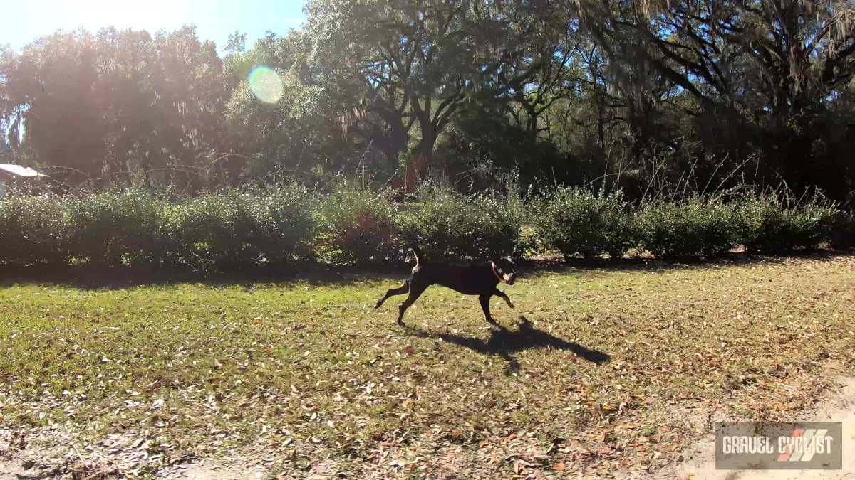 north florida gravel cycling
