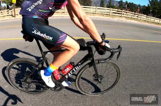 hollywood tour with phil gaimon