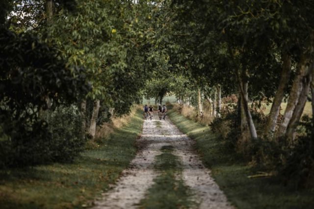 ridley kanzo adventure gravel bike review