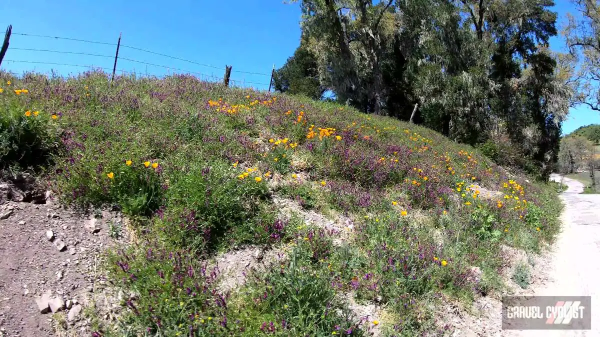 Gravel Cycling the California Central Coast Region Paso Robles