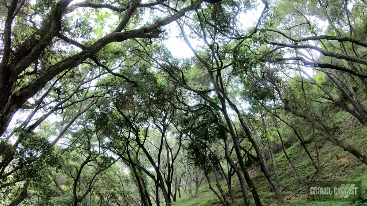 Gravel Cycling the California Central Coast Region Paso Robles