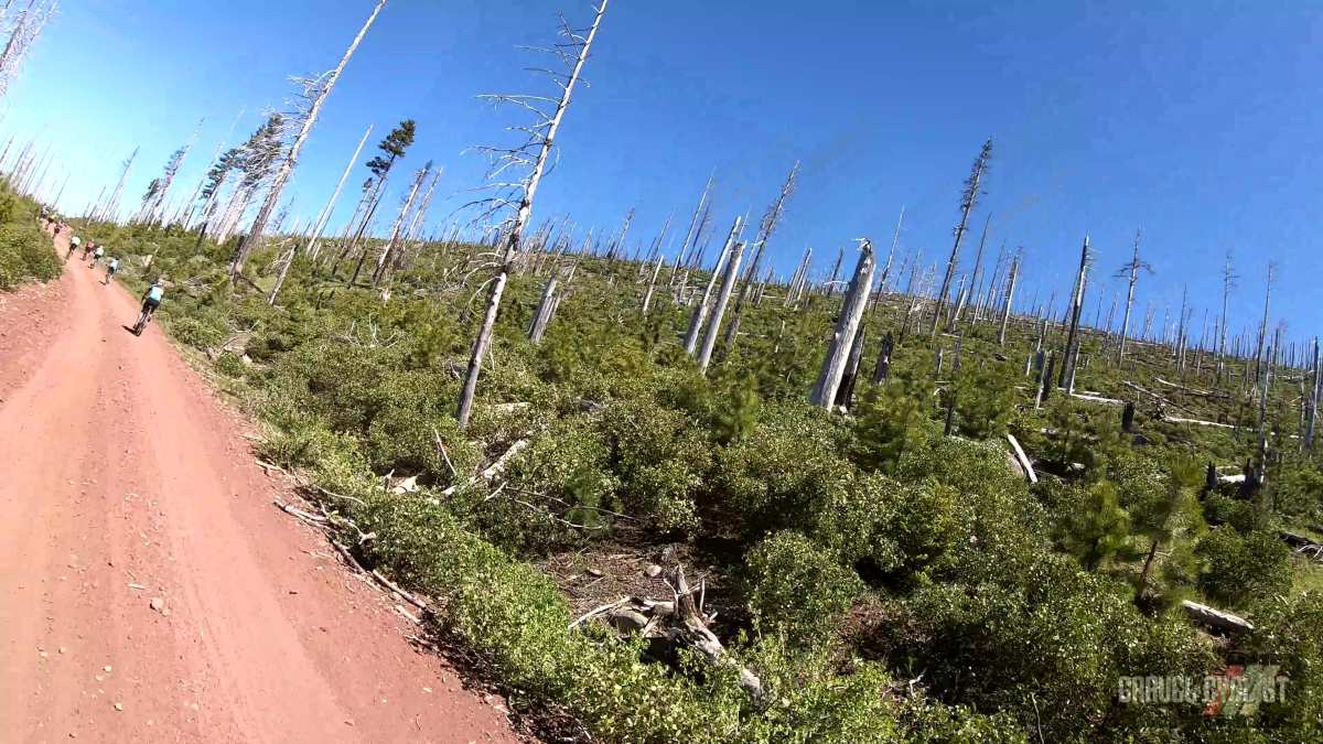2022 oregon trail gravel grinder video