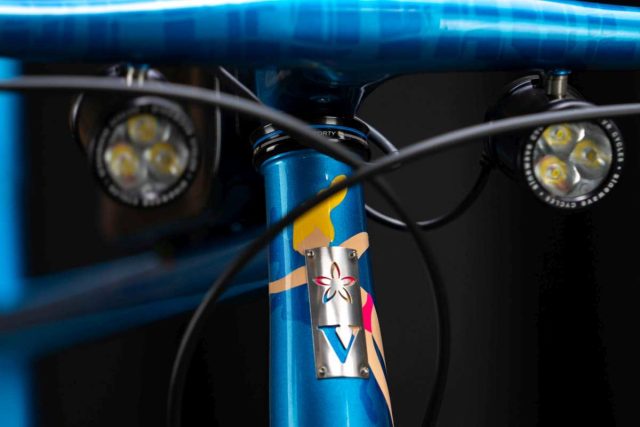 speedvagen custom steel review