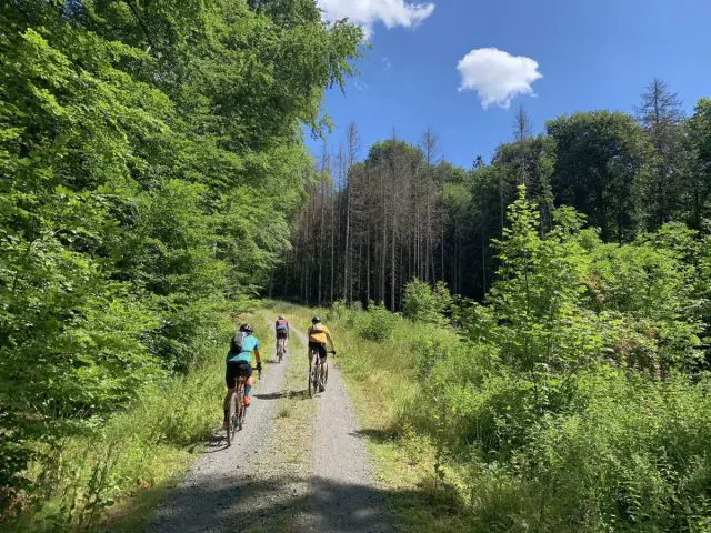 Nibelungen Gravel Ride Edition 2022