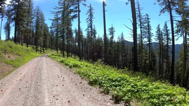 2022 oregon trail gravel grinder