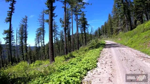 2022 oregon trail gravel grinder