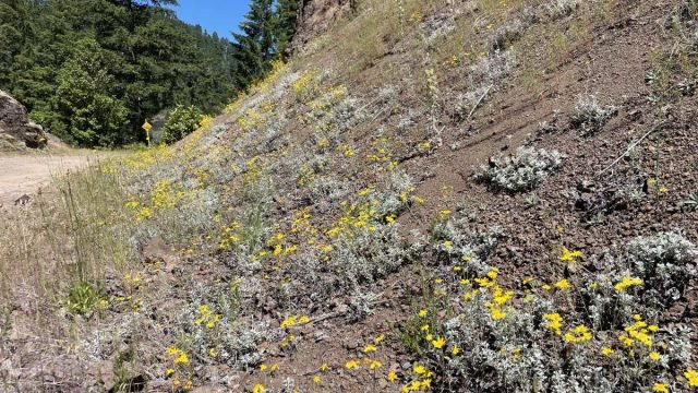 20220 oregon trail gravel grinder