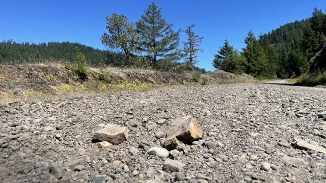 20220 oregon trail gravel grinder