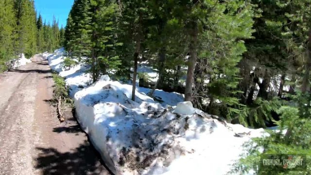 2022 oregon trail gravel grinder