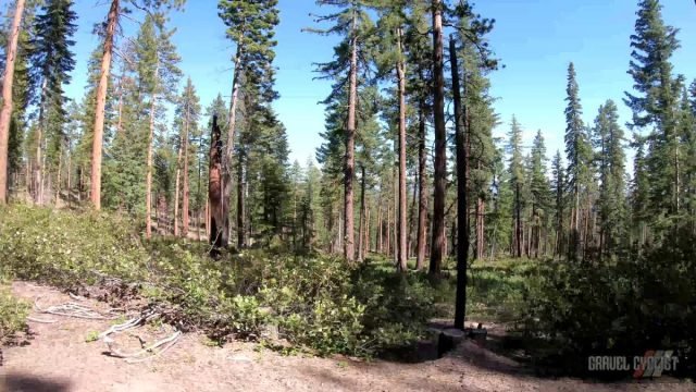 2022 oregon trail gravel grinder