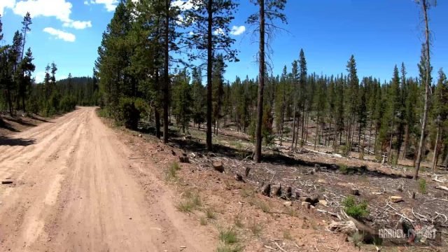 2022 oregon trail gravel grinder