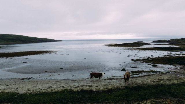 cycling scotland argyll isles