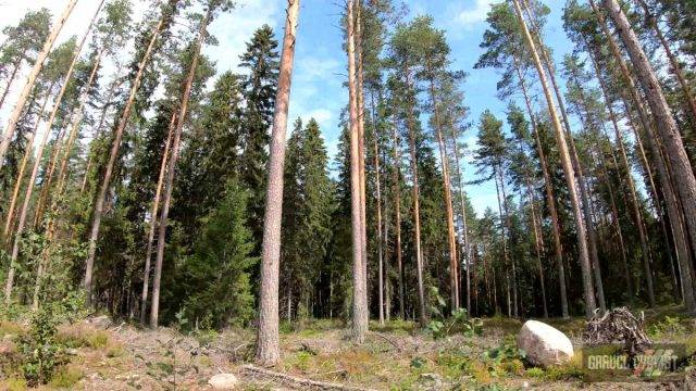 Mäntyharju gravel cycling