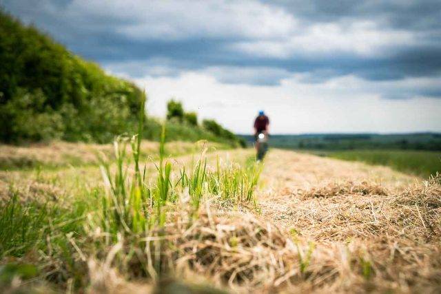 Dorset and Dunoon Dirt Dashes