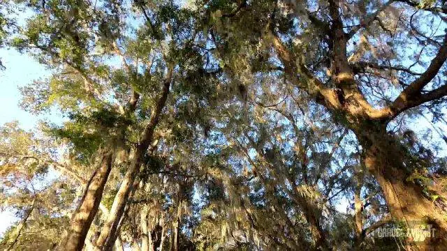 Olustee Overland Gravel Grind