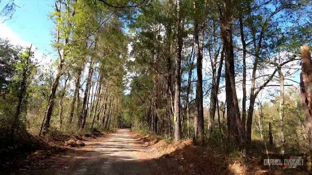 Olustee Overland Gravel Grind