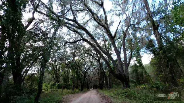 Olustee Overland Gravel Grind