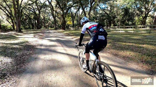 elitewheels drive six review
