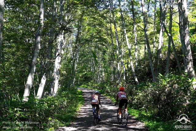 Panaracer Niseko Gravel report