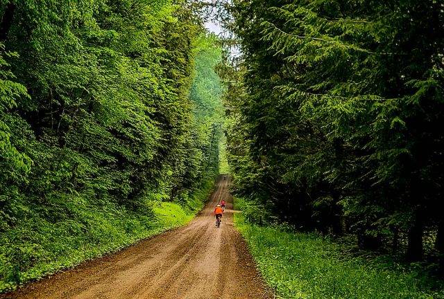 roughneck gravel roubaix report