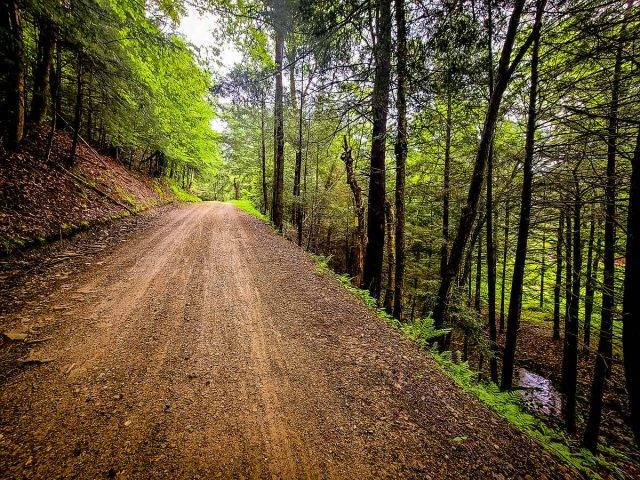 roughneck gravel roubaix report