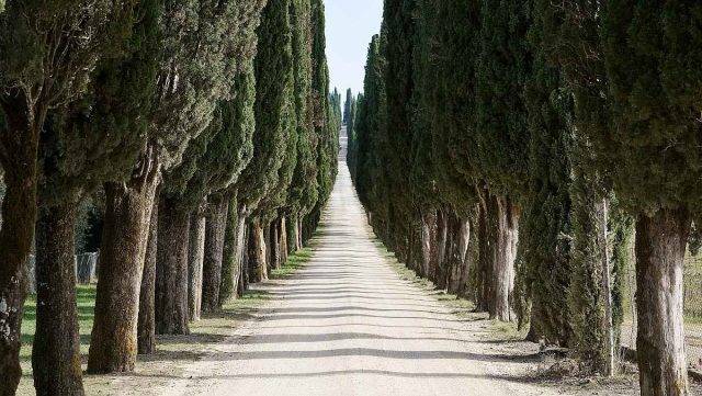 trek travel tuscany gravel bike tour