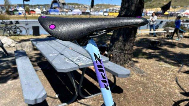santa cruz stigmata by chris bullock