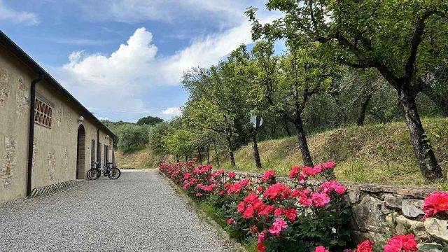 trek travel tuscany gravel trip