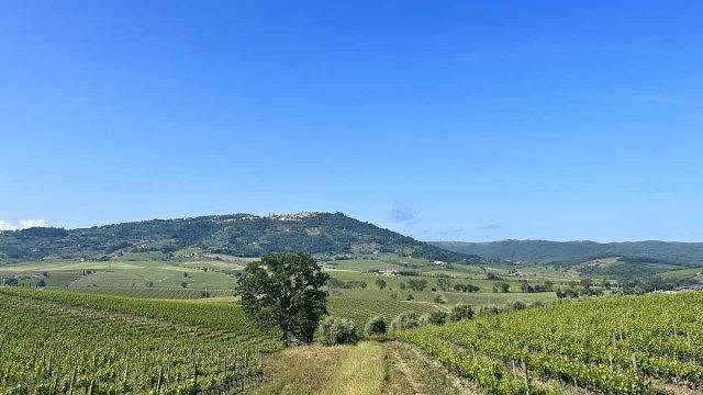 trek travel tuscany gravel trip 2023