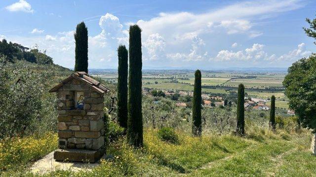 Castiglion Fiorentino tuscany cycling