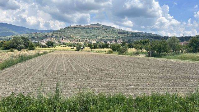 Castiglion Fiorentino tuscany cycling