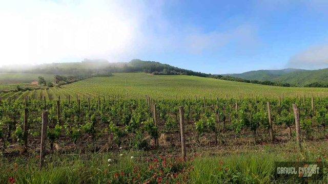 trek travel tuscany gravel trip