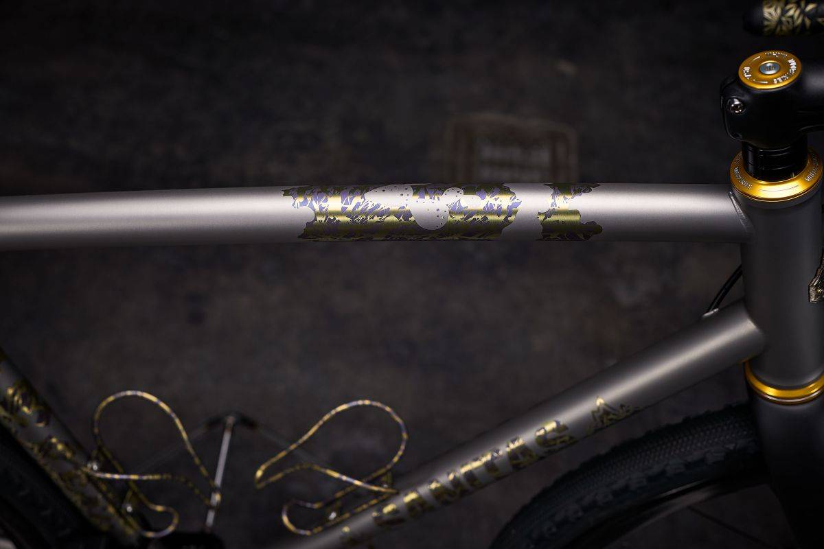 sanitas cycles node gravel titanium review