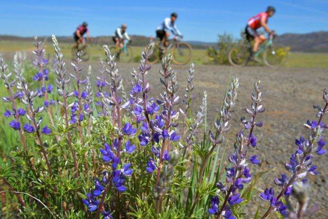 lost and found gravel 2024